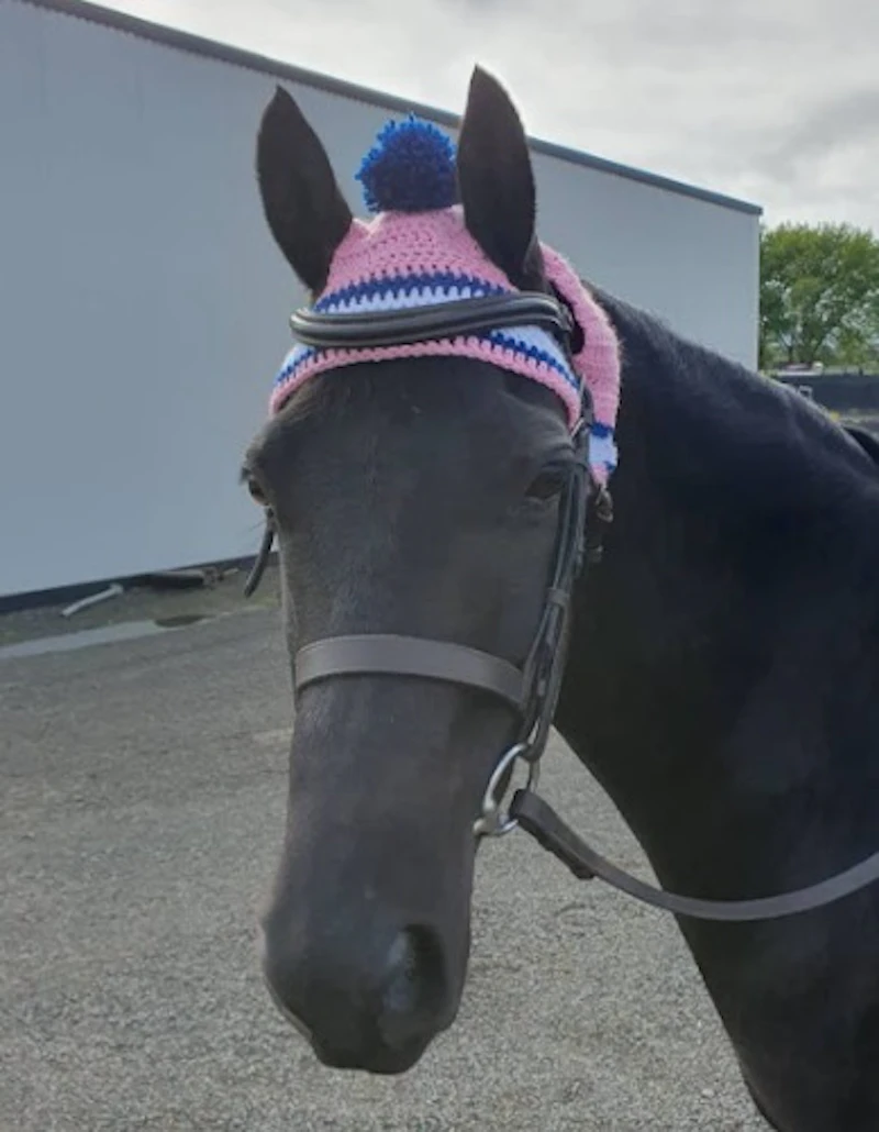 Crochet Horse Hats