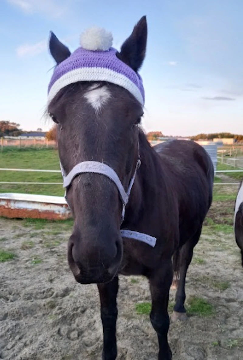 Crochet Horse Hats