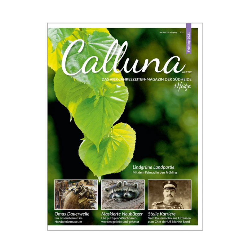 Calluna Frühling 2021