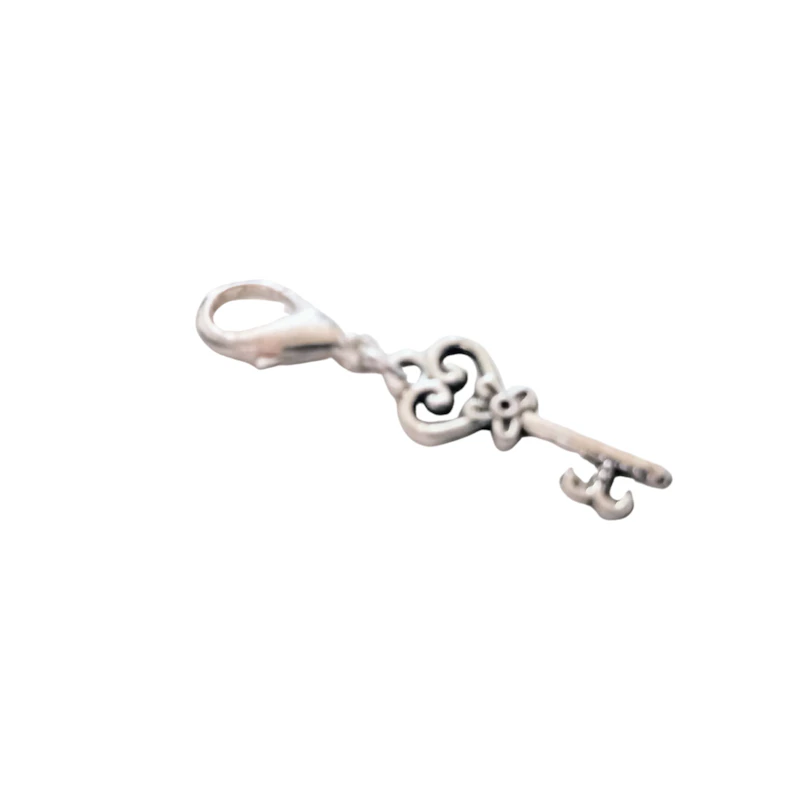Charms silberfarben ab 1,- Euro