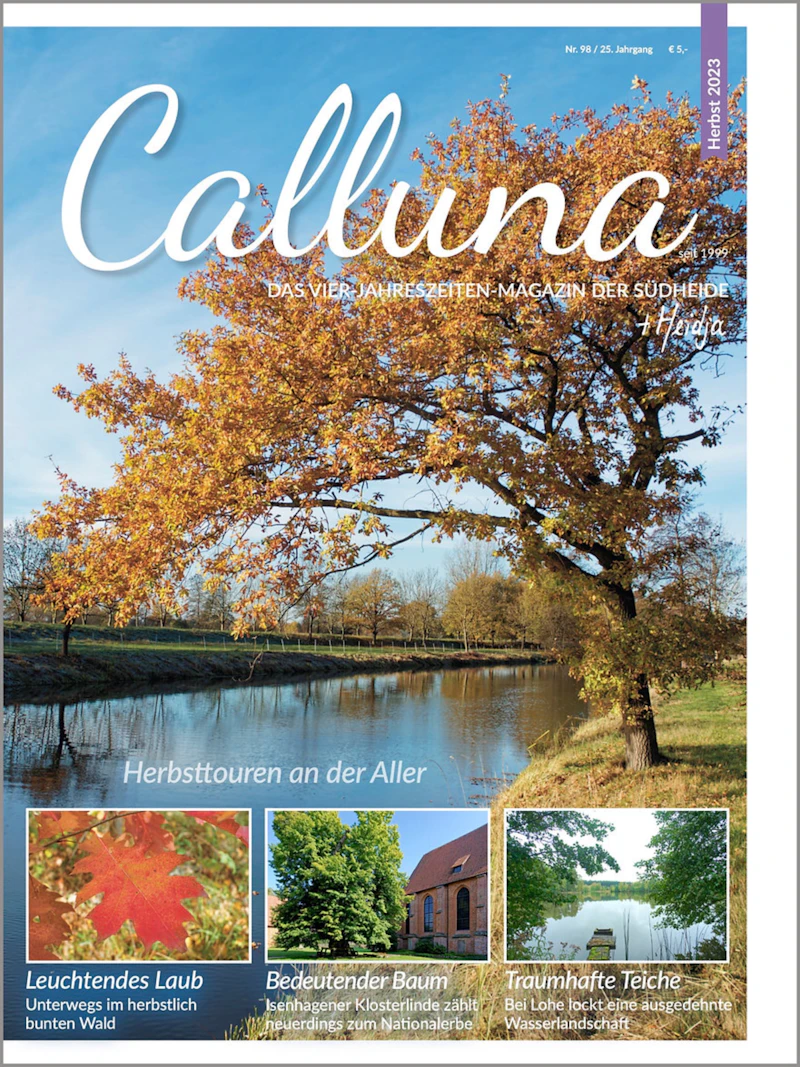 Calluna Herbst 2023