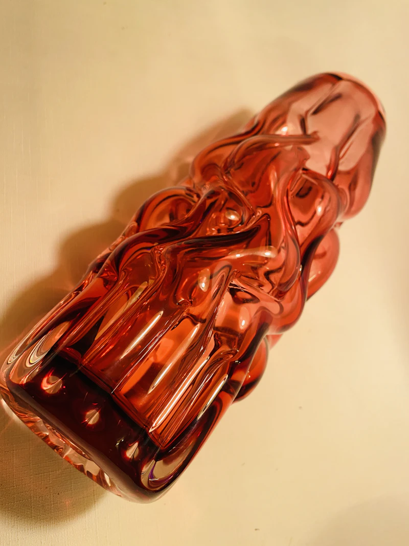 Brain Vase, Pavel Hlava, 1968
