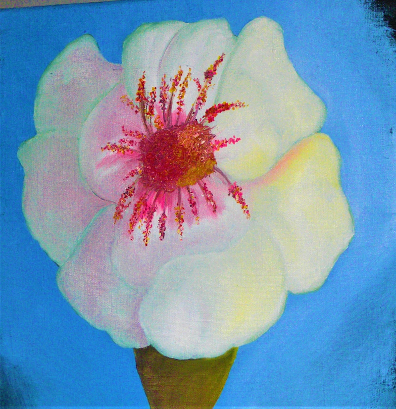 Bloom