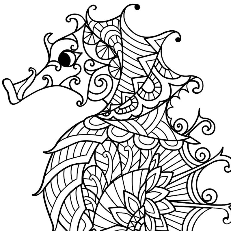 Mandalas zum Ausmalen - 70 tolle Motive auf weissem Hintergrund