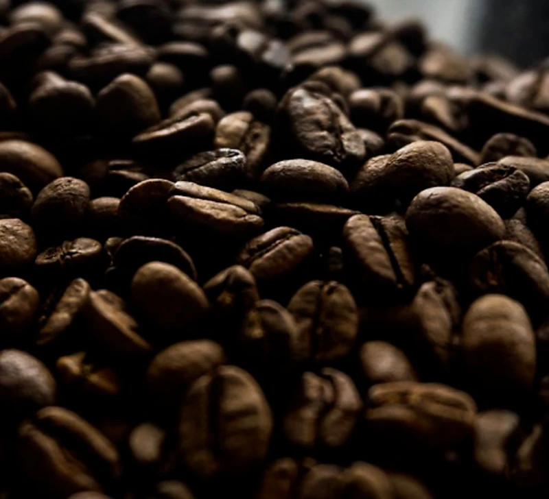 Fresh Palestinian whole coffee beans