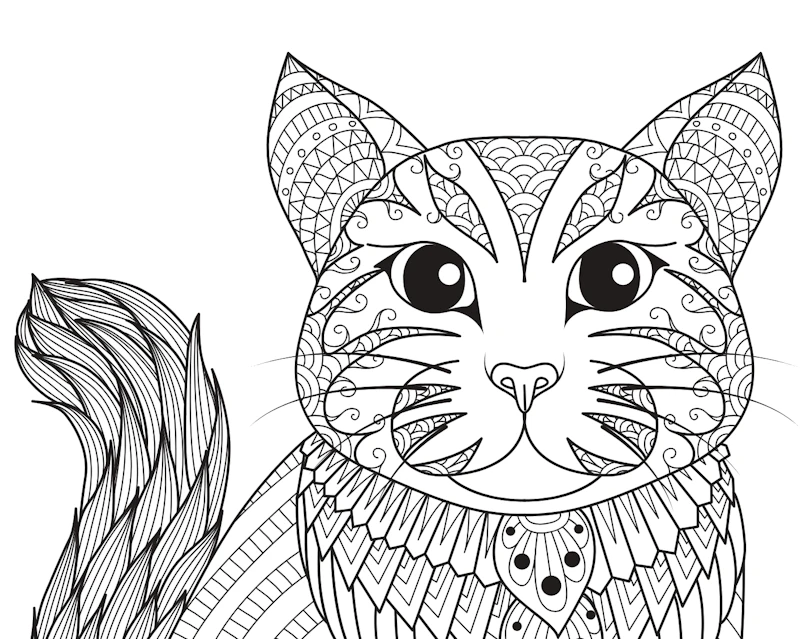 Mandalas zum Ausmalen - 70 tolle Motive auf weissem Hintergrund