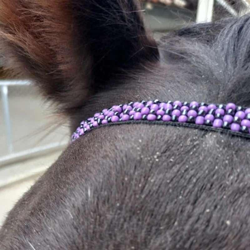 Pre-Made Beaded Browbands