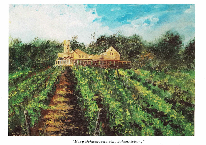 "Burg Schwarzenstein, Johannisberg"