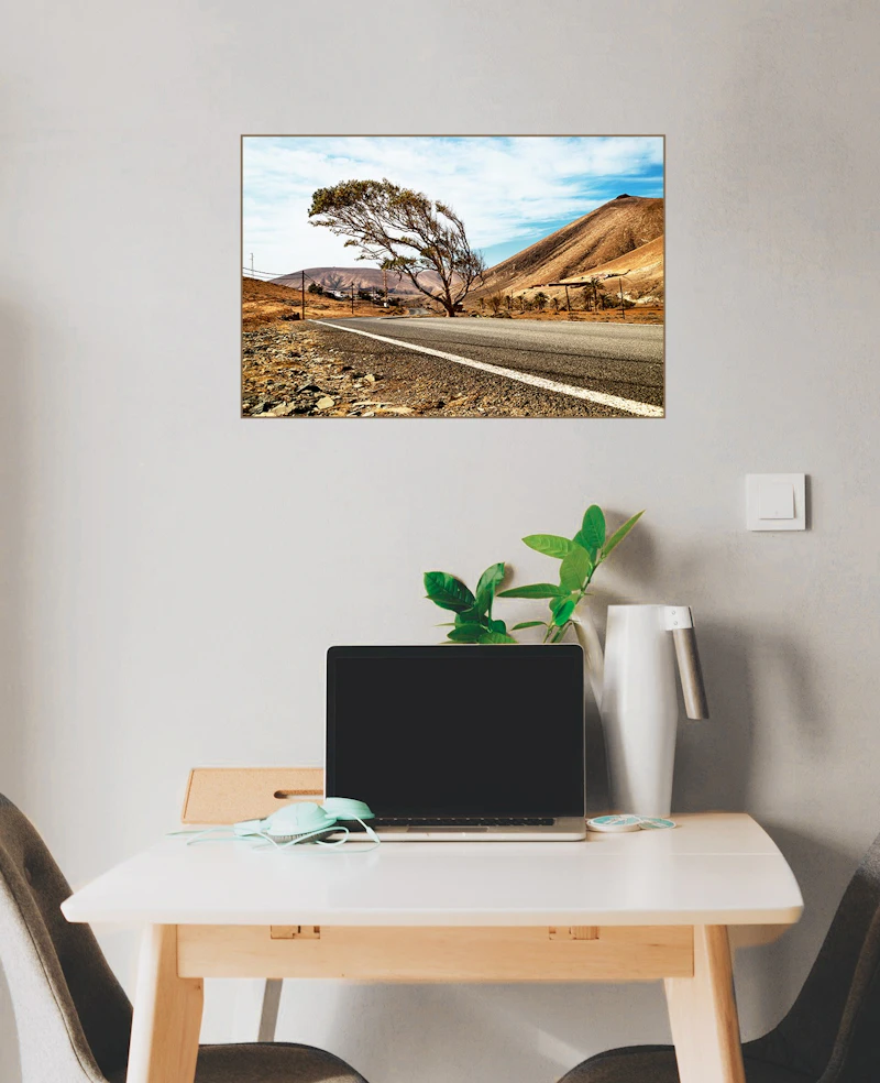 Der Baum im Wind in Ajuy