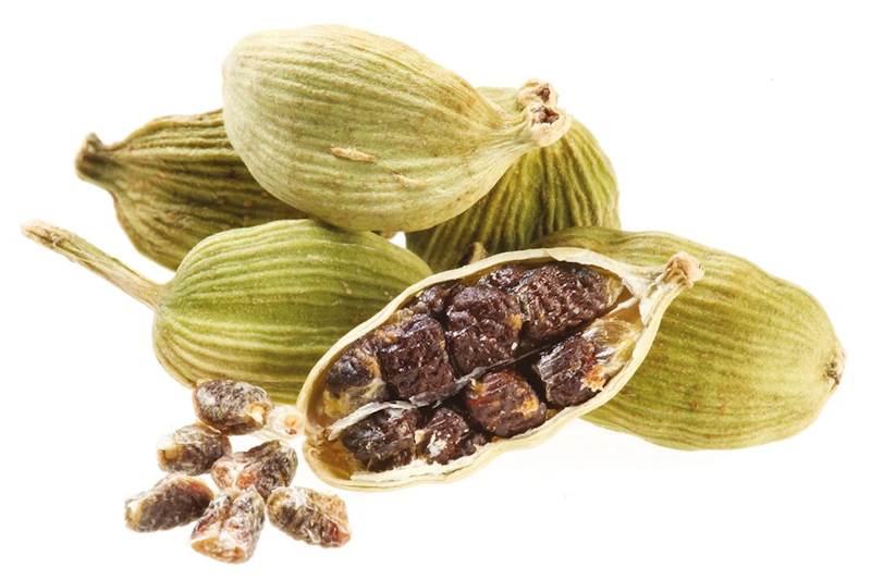Cardamome