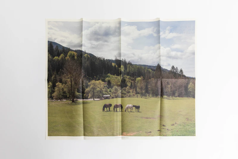 IL NOSTRO BOSCO special edition - TerraProject