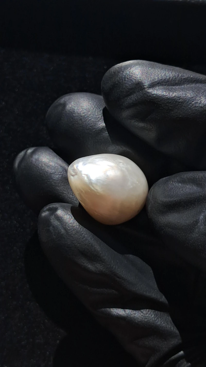 Ravishing GIA certified 25 carat Natural Maxima pearl