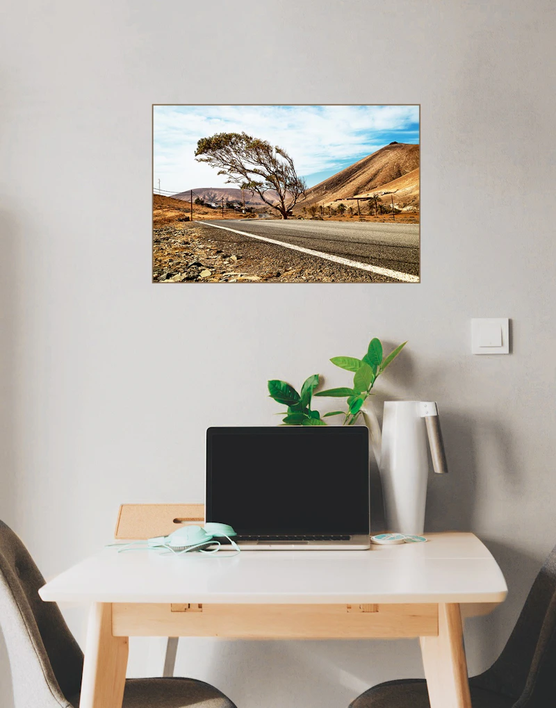 Der Baum im Wind in Ajuy