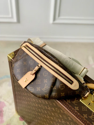 Louis Vuitton Monogram Bumbag