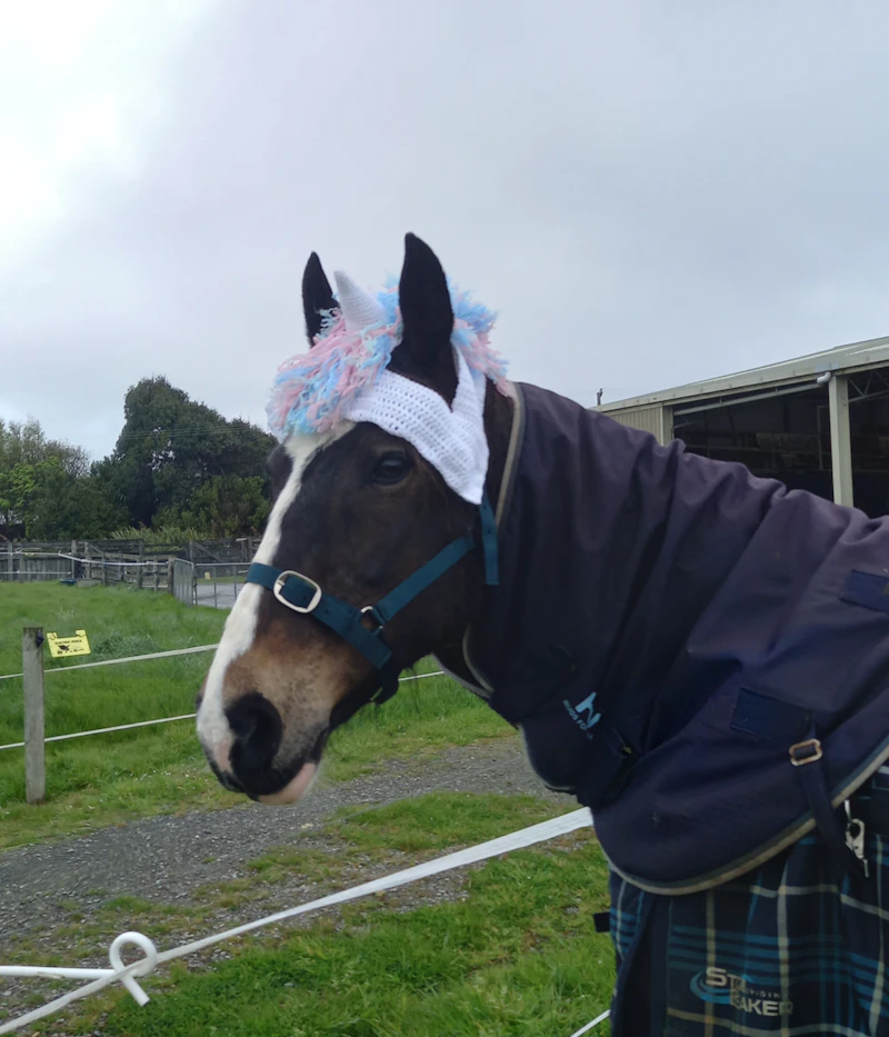 Crochet Horse Hats