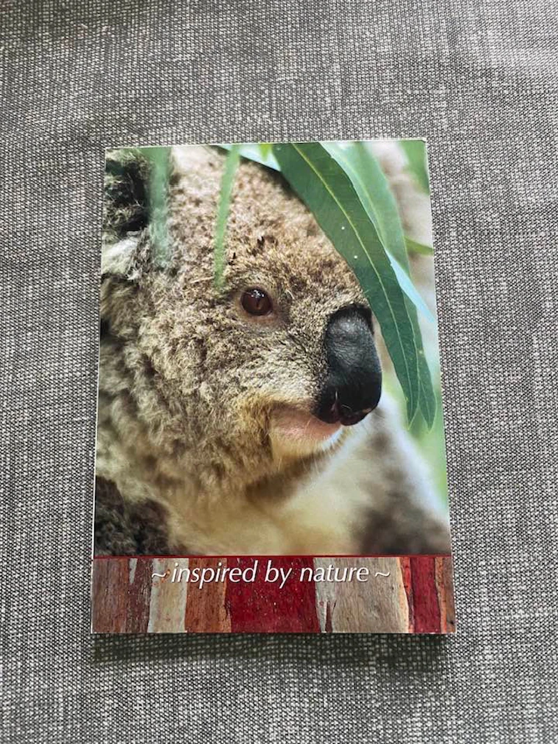 Notepad  - Koala  inspired by nature