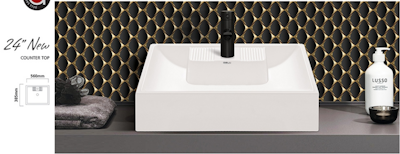 Dell Counter Top Vanity 24"