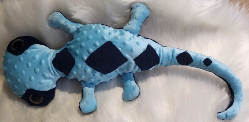Salamander, verschiedene Größen/ Preise