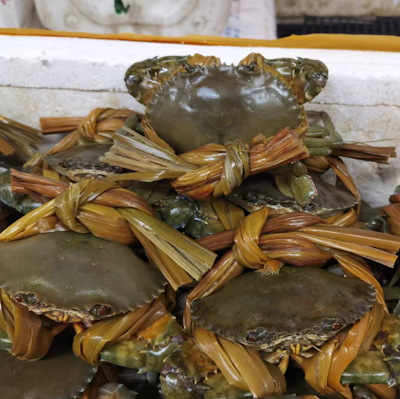 Samoan Crab x 1pc(下環和興水蟹)