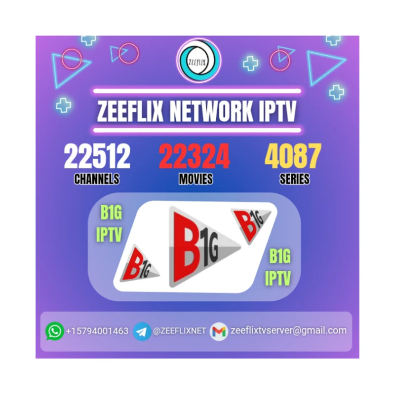 B1G IPTV SUBSCRIPTION 