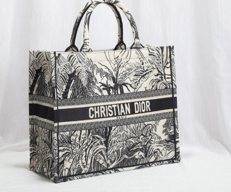 Christian Dior Book Tote Bag 