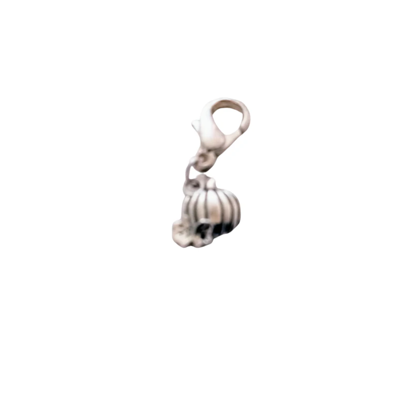 Charms silberfarben ab 1,- Euro
