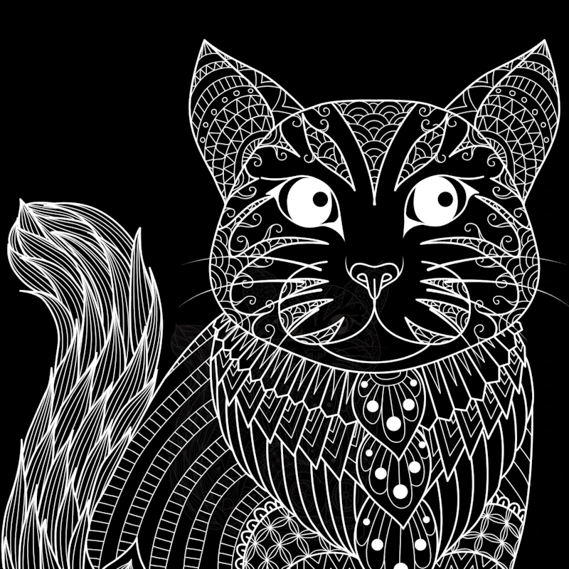 Mandalas zum Ausmalen - 70 tolle Motive auf schwarzem Hintergrund