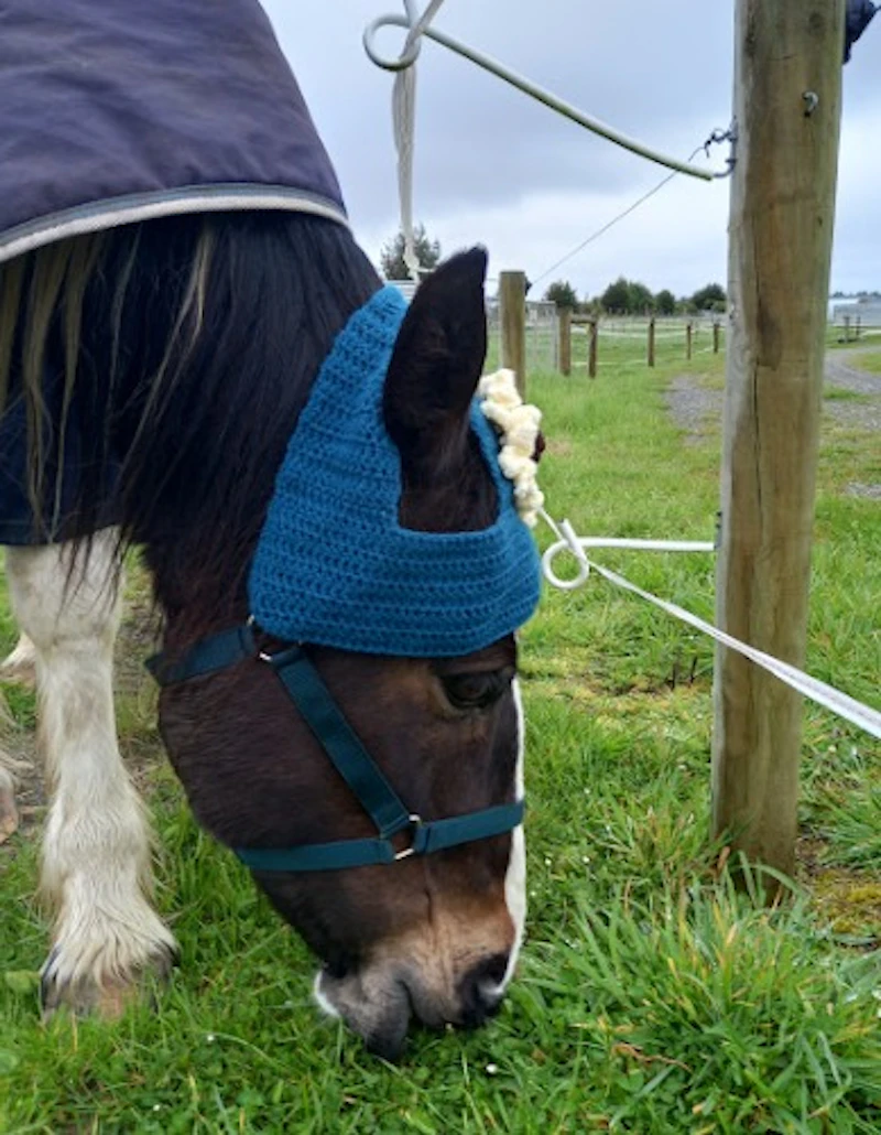 Crochet Horse Hats