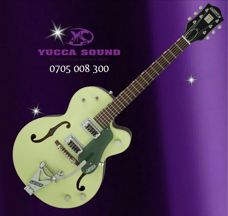 Gretsch G6118T-60 VINTAGE SELECT EDITION 