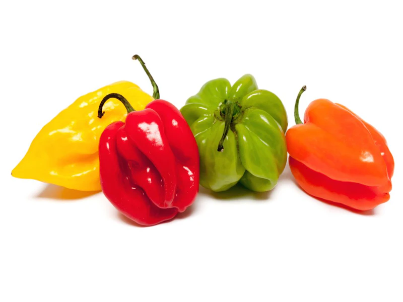 Piment 