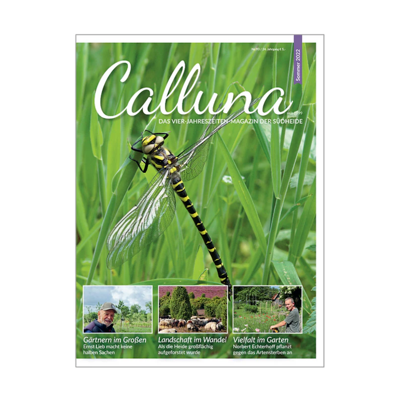 Calluna Sommer 2022 E-Paper
