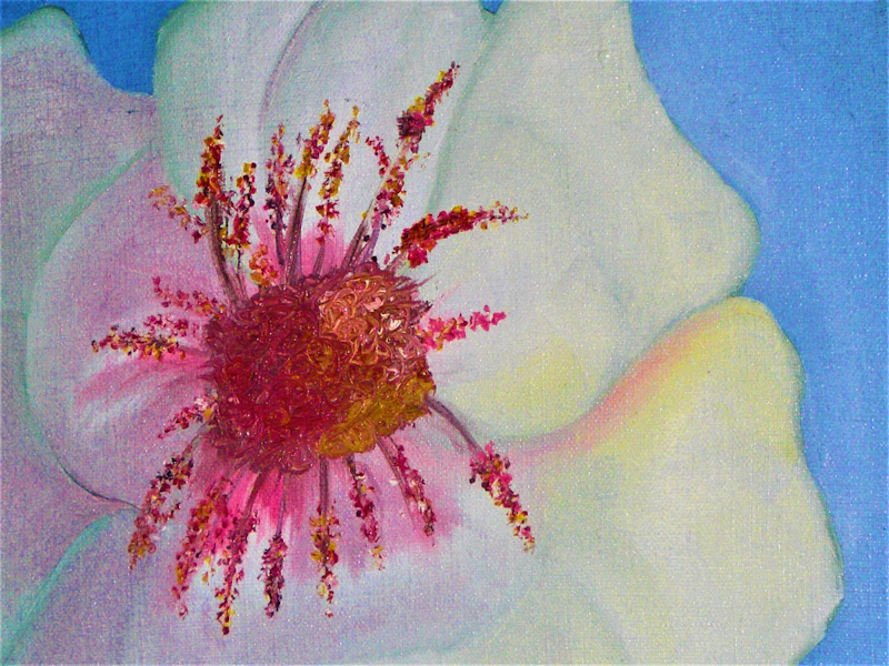 Bloom