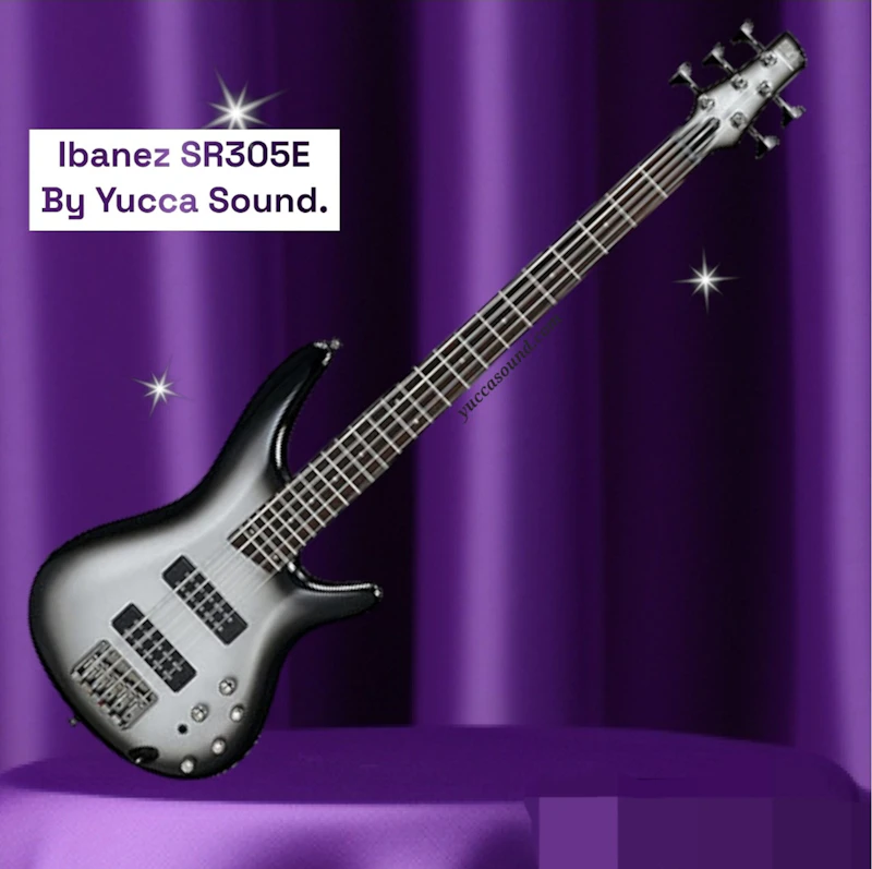 Ibanez SR305E SR Standard Series 5-String Electric Bass