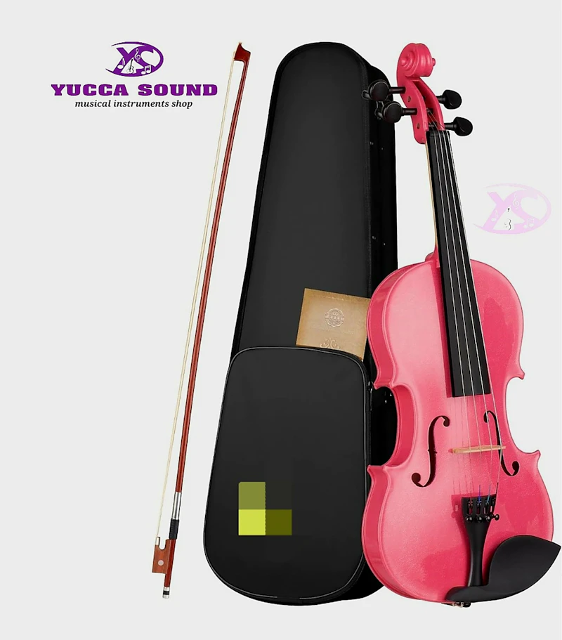 PINKY Violin 4/4 Include Case and Violin Bow