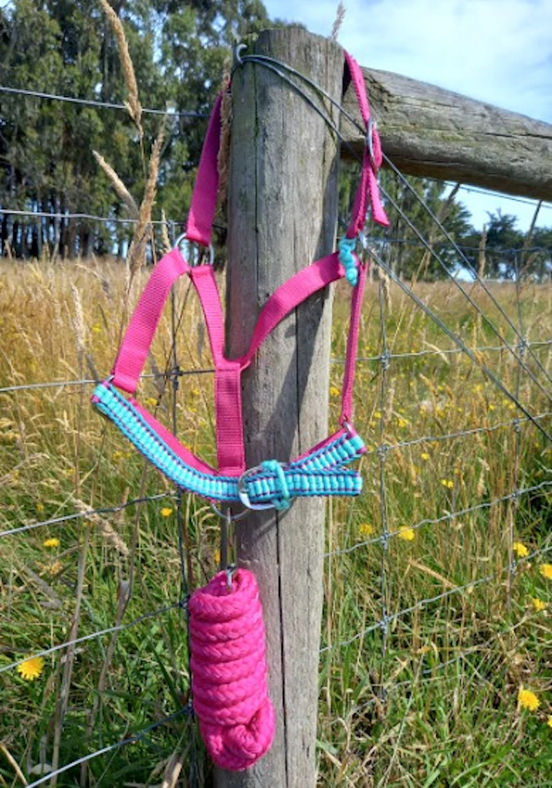 Half Halters
