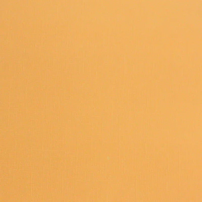 12x12" Core´dinations Cardstock "Moang"