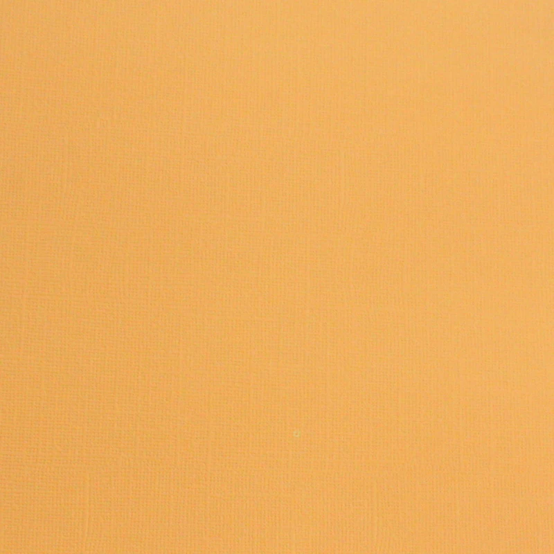 12x12" Core´dinations Cardstock "Moang"