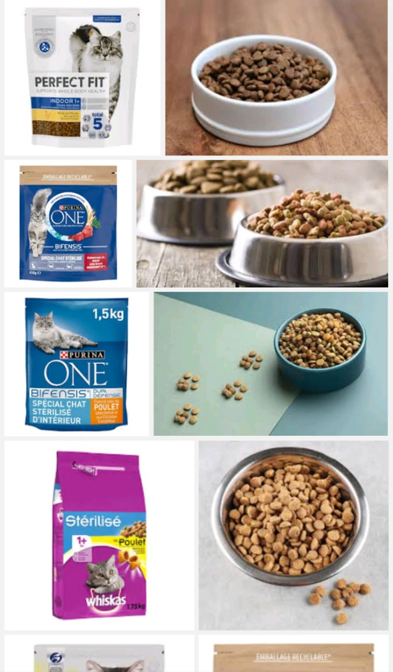 Croquettes pour chat 