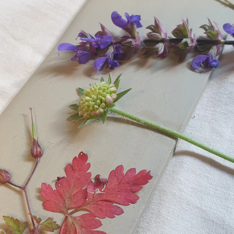 Workshop - Botanical Plates and Coasters