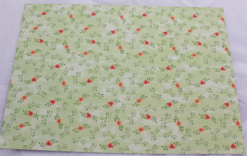 A4 Fotokarton "Faultier"