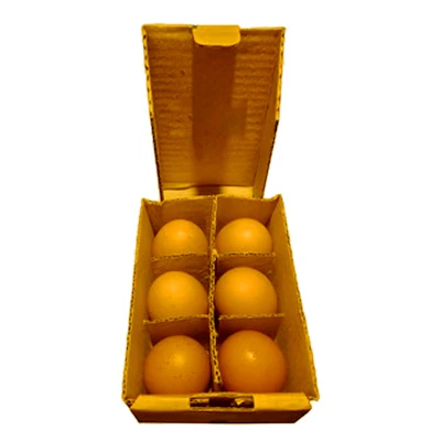 6 Pcs Chicken Layer Egg 