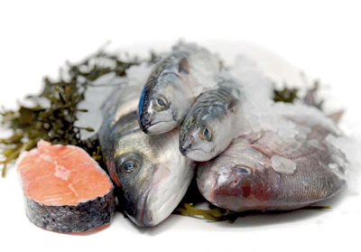 Poisson Thazard