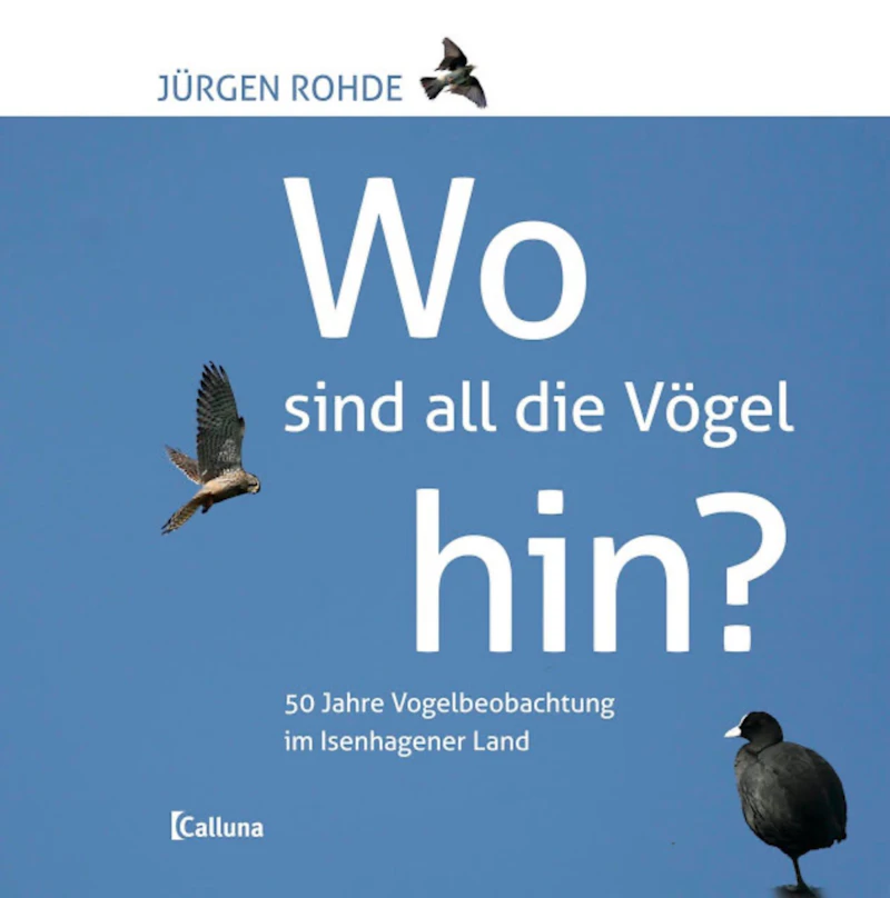 Wo sind all die Vögel hin?