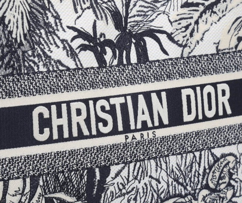 Christian Dior Book Tote Bag 