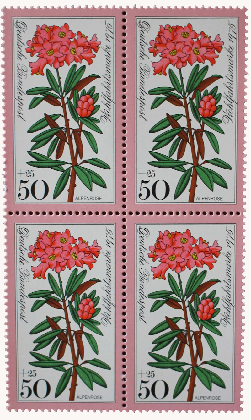 Robbert´s Briefmarken Deutschland MiNr. 867-70, Wohlfahrt : Alpenblumen, V-Block, postfrisch