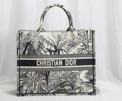 Christian Dior Book Tote Bag