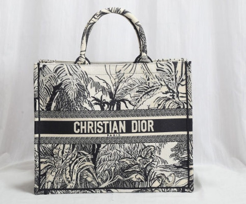 Christian Dior Book Tote Bag 