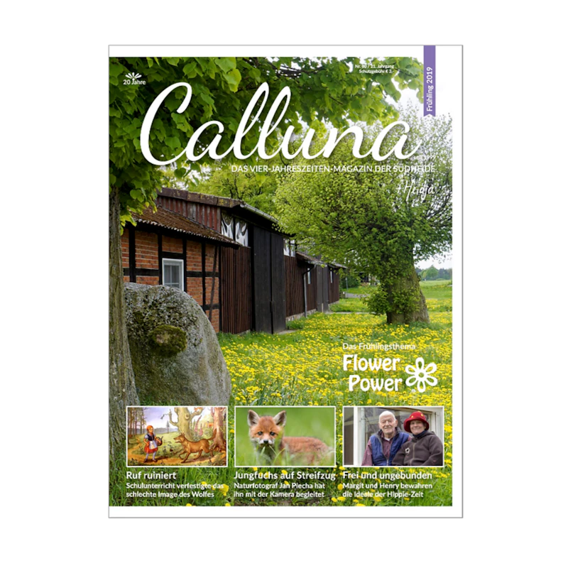 Calluna Frühling 2019