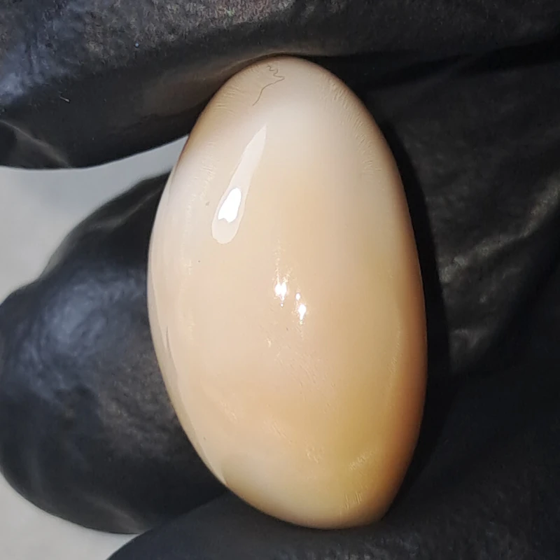 Massive 22.65 carat natural cassis pearl