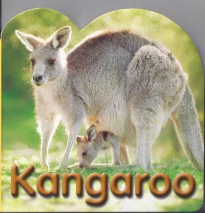 Steve Parish - Kangaroo - Pappbuch